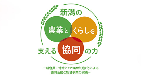 ＪＡ新潟県大会