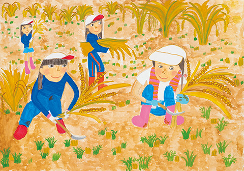 「みんなで稲刈り」