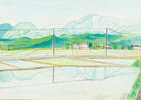 「田んぼは日本の原風景」