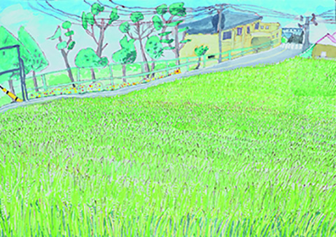 「6年通った通学路から感じる初夏」