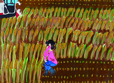 「今年の稲刈り」