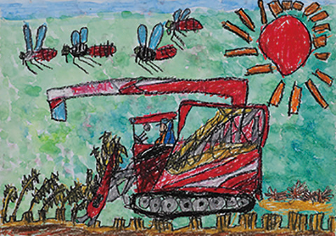 パパと稲刈りしてると、トンボが飛んで来るんだねー。