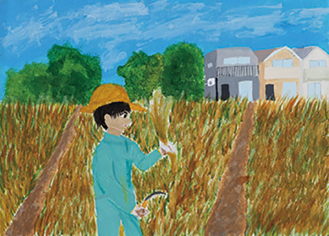 米を育てる事の大変さ