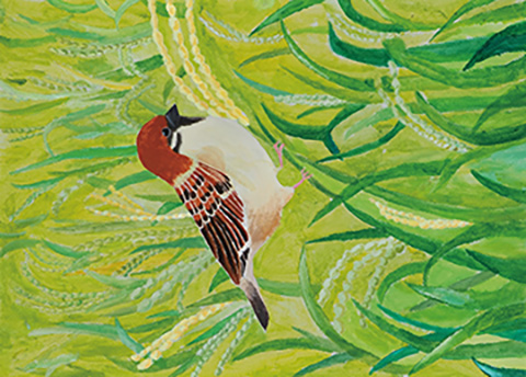 スズメも大好きな新潟のお米