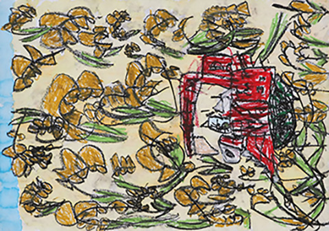 僕の家のお米いっぱい採れるよ！