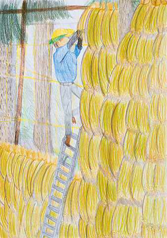 さらさらになれ！はさがけ米