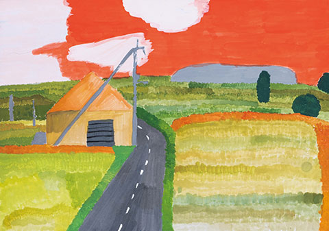 夕日で輝く田んぼの稲