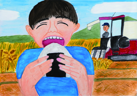 コシヒカリを食べたよ