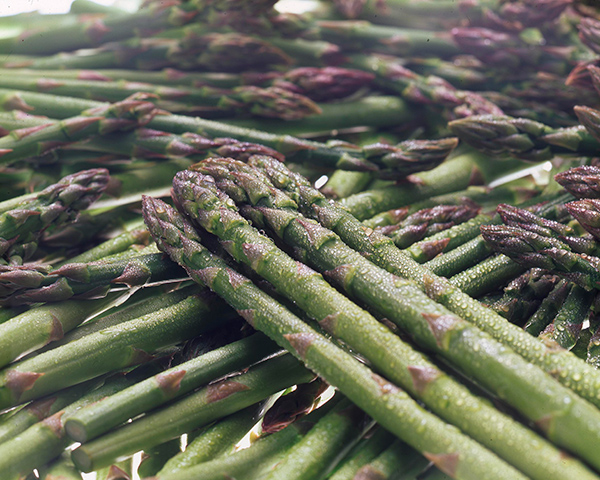 アスパラガス