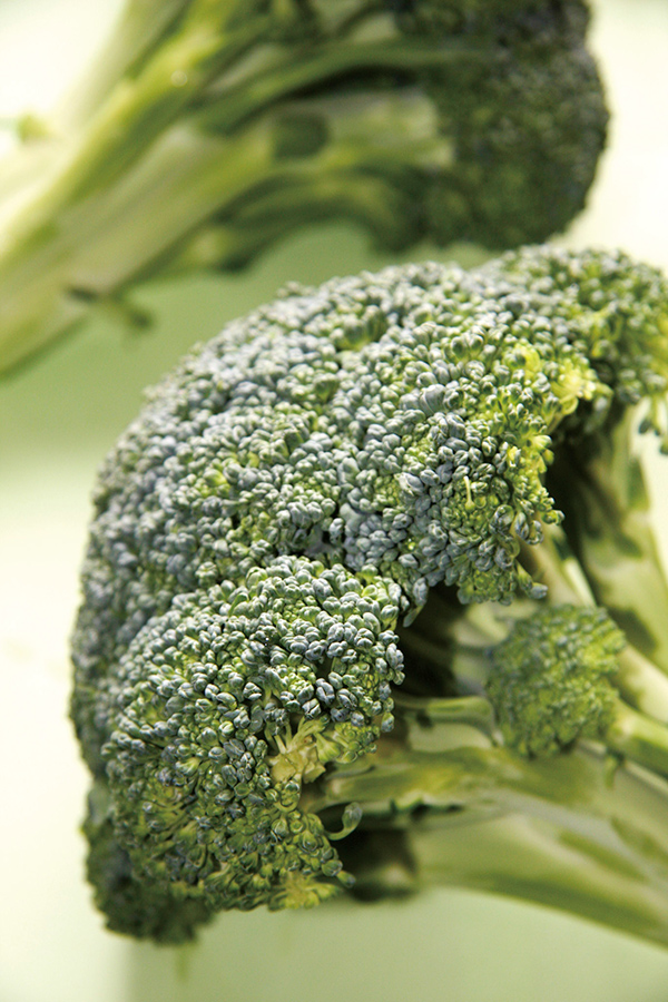 ブロッコリー