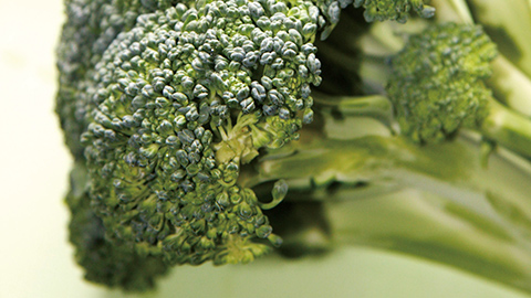 ブロッコリー