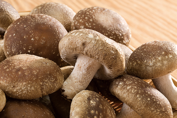 しいたけ