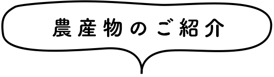 農産物のご紹介