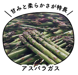 アスパラガス