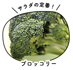 ブロッコリー