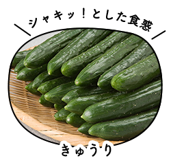きゅうり