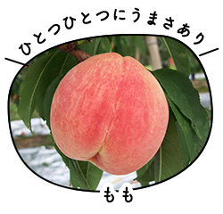 もも