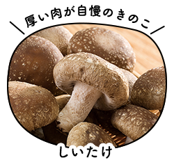 しいたけ