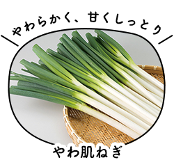やわ肌ねぎ