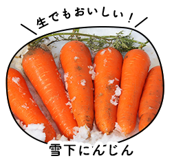 雪下にんじん